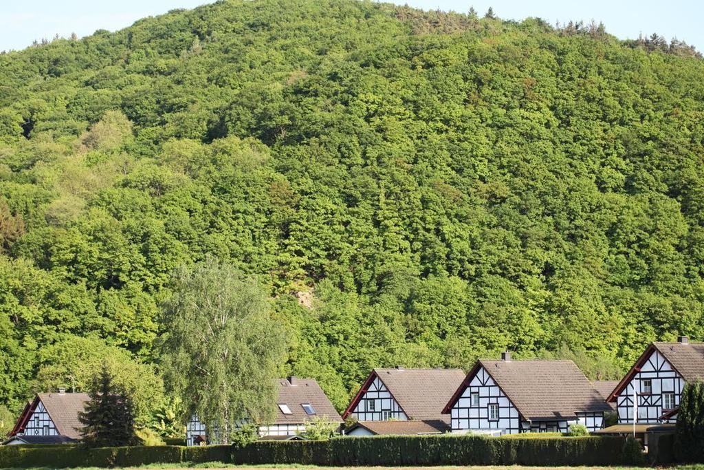 Apartamento Bos En Kasteel Nideggen Exterior foto
